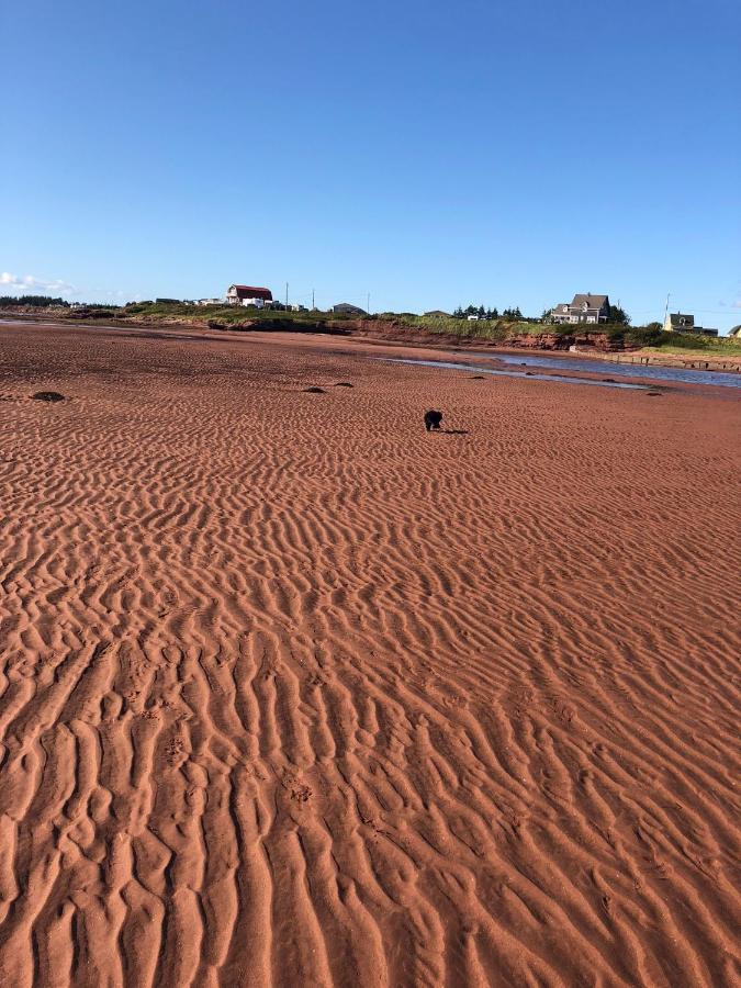 Borden-Carleton Newly Renovated Confederation Bridge View Cottages מראה חיצוני תמונה